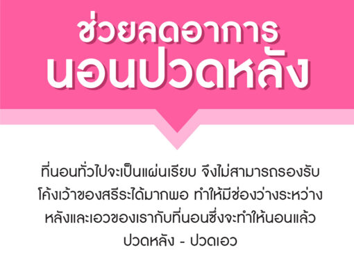 topper-topper ที่นอน-ท็อปเปอร์-ที่นอน ท็อปเปอร์-ฟูกที่นอน-ที่นอน-ที่นอนปิคนิค-นอนปวดหลัง-LazyCat-เตียงนอน-อาการปวดหลังนอนไม่หลับ-ที่นอนเป่าลม