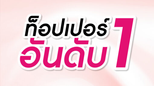 topper-topper ที่นอน-ท็อปเปอร์-ที่นอน ท็อปเปอร์-ฟูกที่นอน-ที่นอน-ที่นอนปิคนิค-นอนปวดหลัง-LazyCat-เตียงนอน-อาการปวดหลังนอนไม่หลับ-ที่นอนเป่าลม